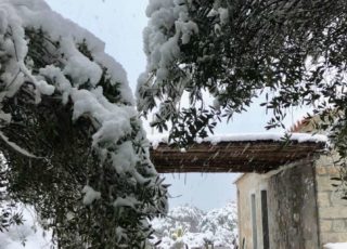 borgo_lianti_porto_pollo_sardegna_casetta_1_6 borgo_lianti_porto_pollo_sardegna_casetta_1_6