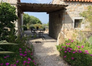 borgo_lianti_porto_pollo_sardegna_casetta_3_2 borgo_lianti_porto_pollo_sardegna_casetta_3_2