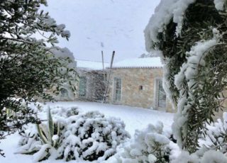 borgo_lianti_porto_pollo_sardegna_casetta_3_7 borgo_lianti_porto_pollo_sardegna_casetta_3_7