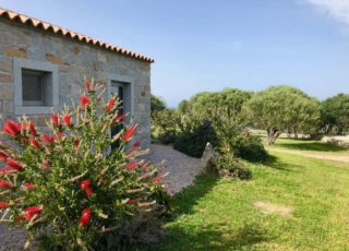 borgo_lianti_porto_pollo_sardegna_casetta_4_16 borgo_lianti_porto_pollo_sardegna_casetta_4_16