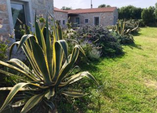 borgo_lianti_porto_pollo_sardegna_casetta_4_18 borgo_lianti_porto_pollo_sardegna_casetta_4_18
