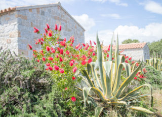 Primavera a Lianti Primavera a Lianti